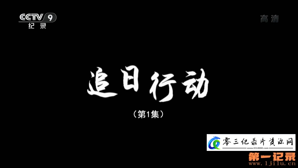 追日行动的海报