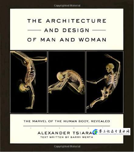 男女构造的差异 Architecture and Design of Man and Woman的海报
