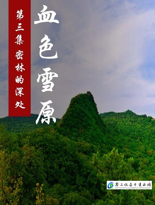血色雪原的海报