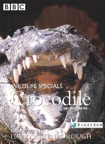 鳄鱼 Crocodile的海报