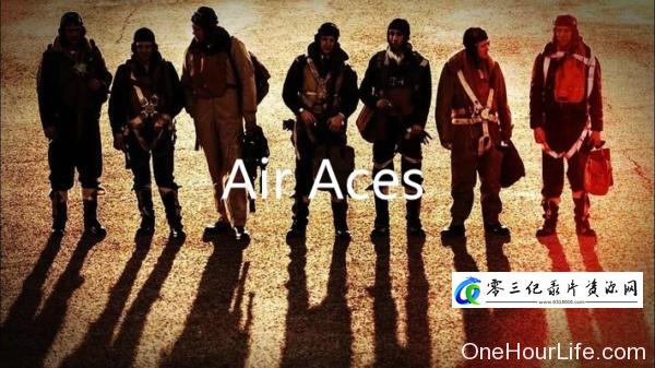 军事纪录片《王牌飞行员 Air Aces》下载-零三纪录片资源网
