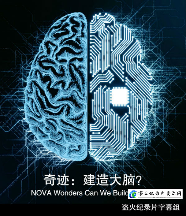 奇迹：建造大脑？ NOVA Wonders Can We Build a Brain?的海报