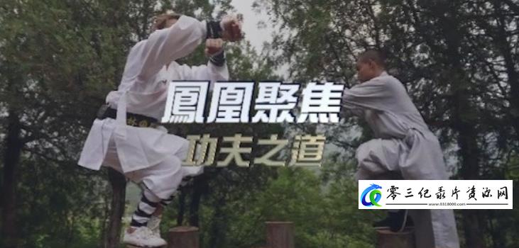 社会生活纪录片《功夫之道》下载-零三纪录片资源网