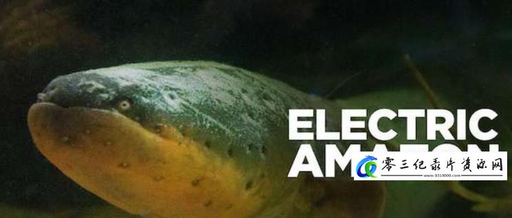 自然纪录片《亚马孙河的电鱼世界 Electric Amazon》下载-零三纪录片资源网