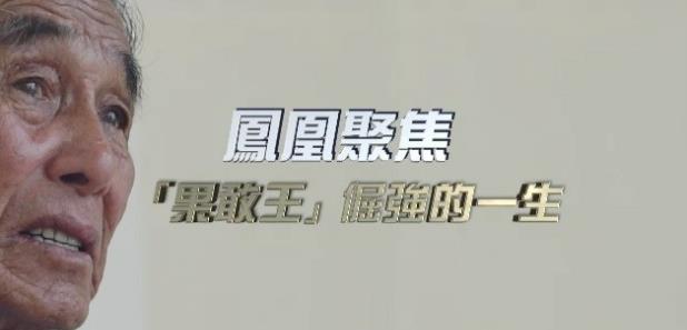 “果敢王”倔强的一生的海报