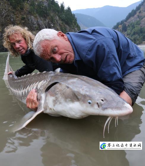 探索纪录片《河中巨怪特辑：史前怪物 River Monsters》下载-零三纪录片资源网