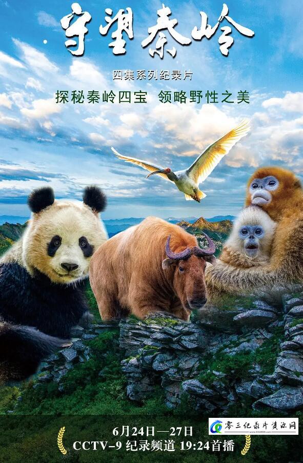 守望秦岭的海报