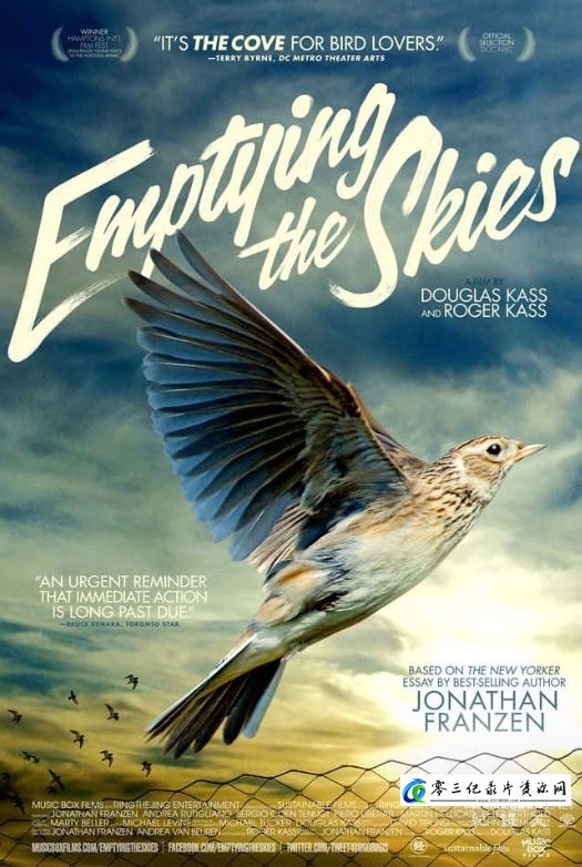 清空天空 Emptying The Skies的海报