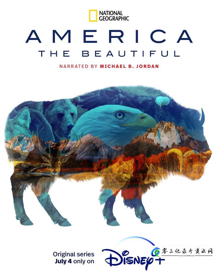 美丽美利坚 America the Beautiful的海报