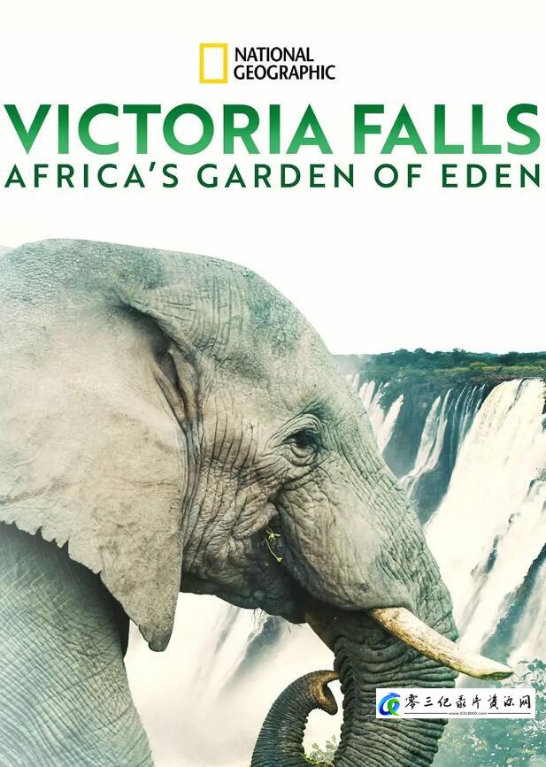 自然纪录片《维多利亚瀑布:非洲的伊甸园 Victoria Falls: Africa's Garden of Eden》下载-零三纪录片资源网