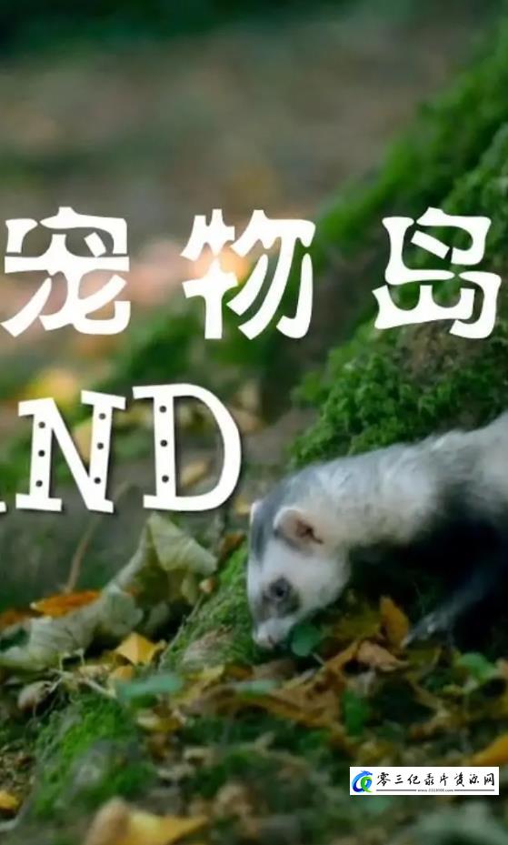 宠物岛 Pet Island的海报