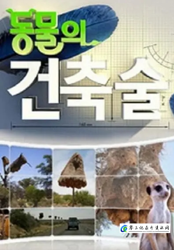 动物建筑师 Animal Builders的海报