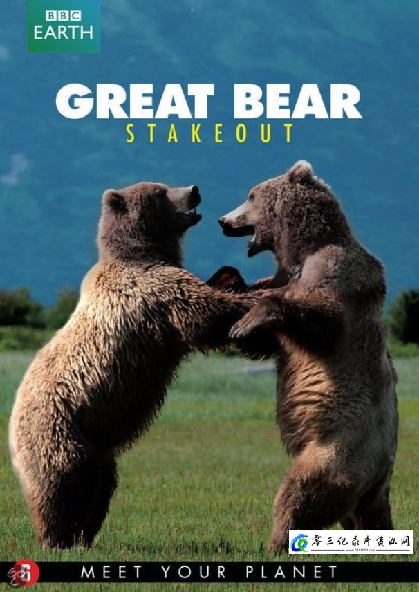 熊族面面观 Meet the Bears的海报