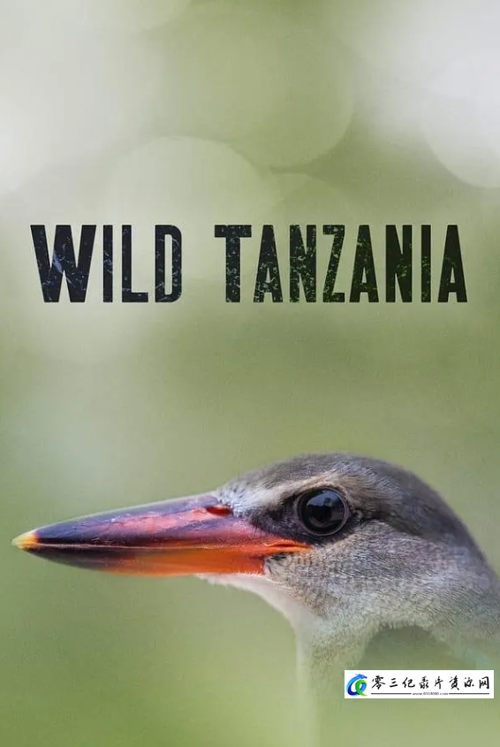 狂野坦桑尼亚 第一季 Wild Tanzania Season 1的海报