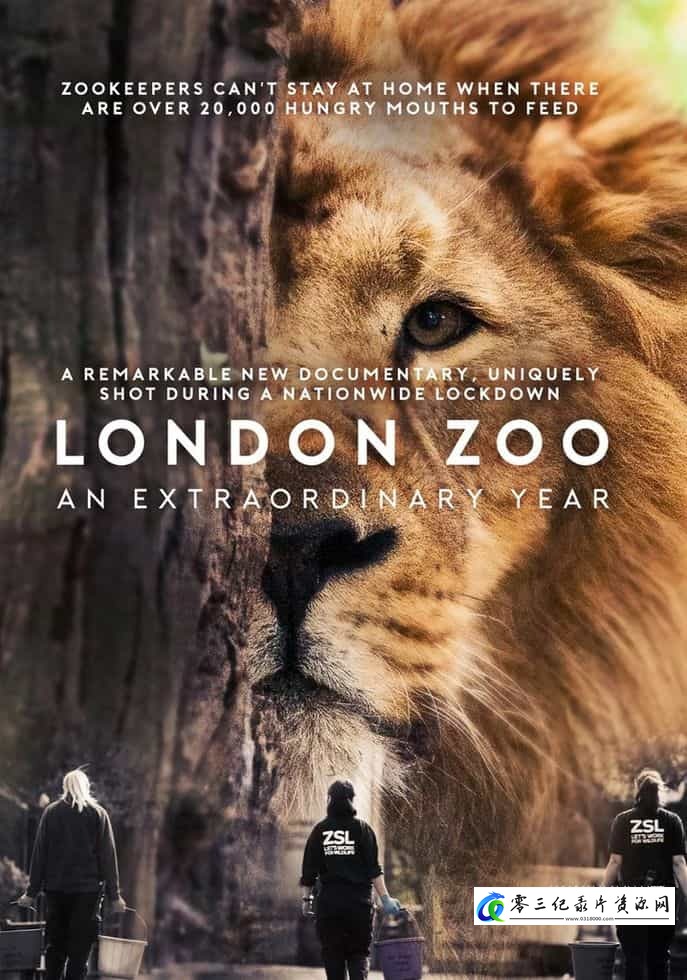 自然纪录片《伦敦动物园:非凡的一年 London Zoo: An Extraordinary Year》下载-零三纪录片资源网