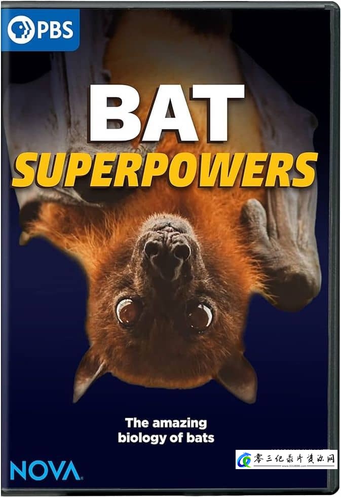 科学纪录片《蝙蝠超能力 Bat Superpowers》下载-零三纪录片资源网
