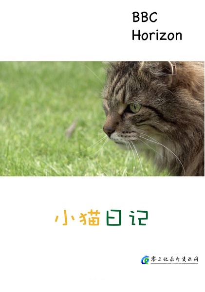小猫日记 Little Cat Diaries的海报