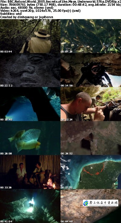 玛雅地下世界之谜 Natural World: Secrets of the Maya Underworld的海报