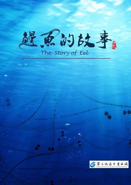 鳗鱼的故事  The Story of Eel的海报