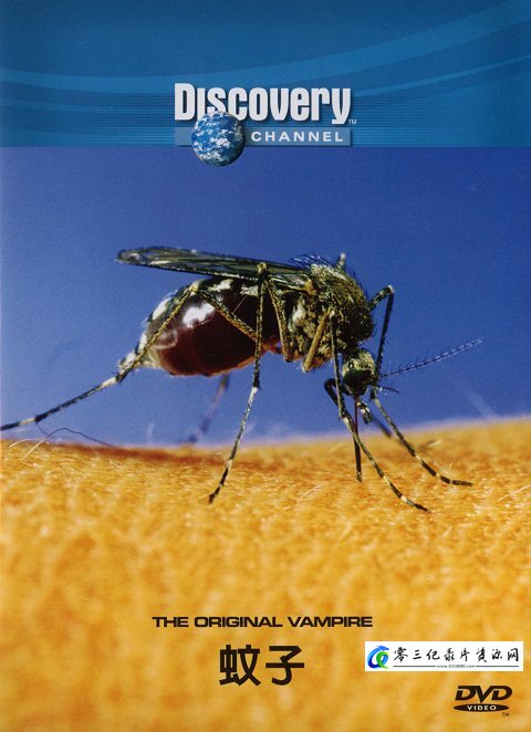 自然，探索纪录片《蚊子 The Original Vampire》下载-零三纪录片资源网