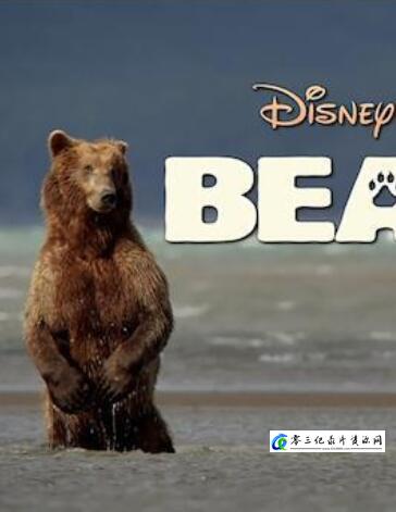 自然，探索纪录片《寻找最后的巨兽 生态全纪录:寻找最后的巨兽》下载-零三纪录片资源网