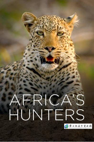 自然纪录片《非洲猎手 Africa’s Hunters》下载-零三纪录片资源网