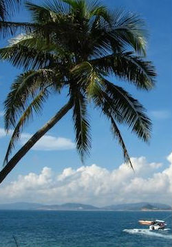 自然，旅行纪录片《印象海南 Impression HaiNan》下载-零三纪录片资源网