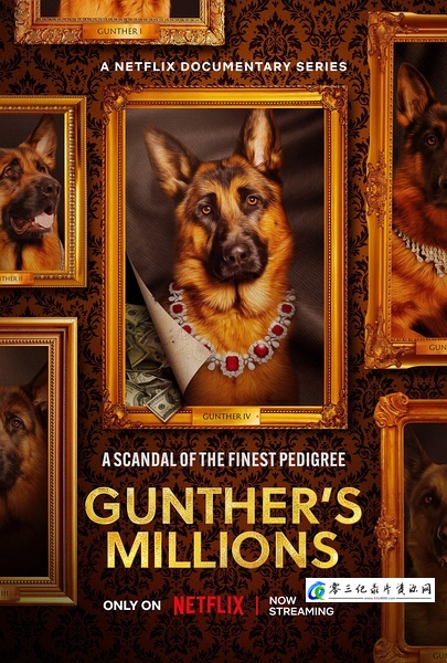 亿万富犬 Gunther's Millions的海报