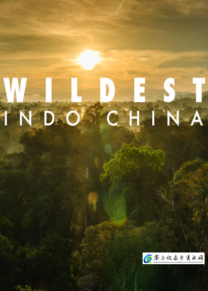 中南半岛野生大地 Wildest Indochina的海报