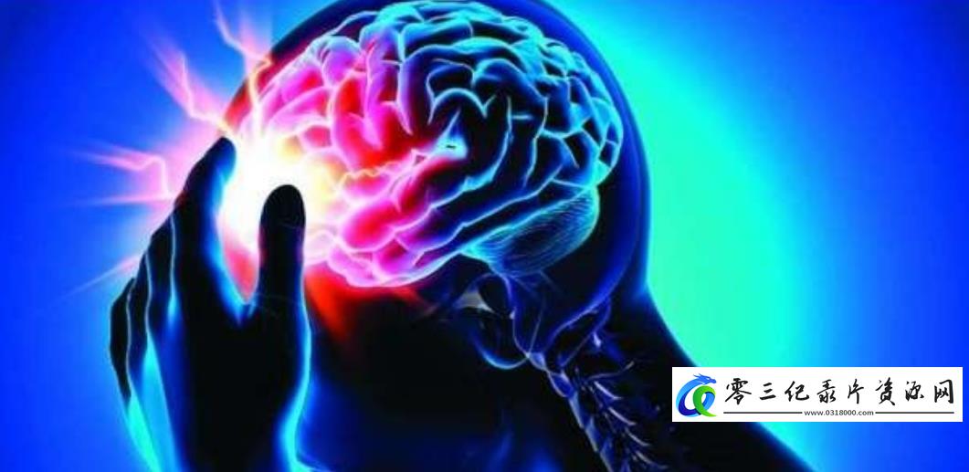 600公里的危机 600公里的危机的海报