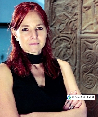 为爱而挖 Digging for Ireland的海报