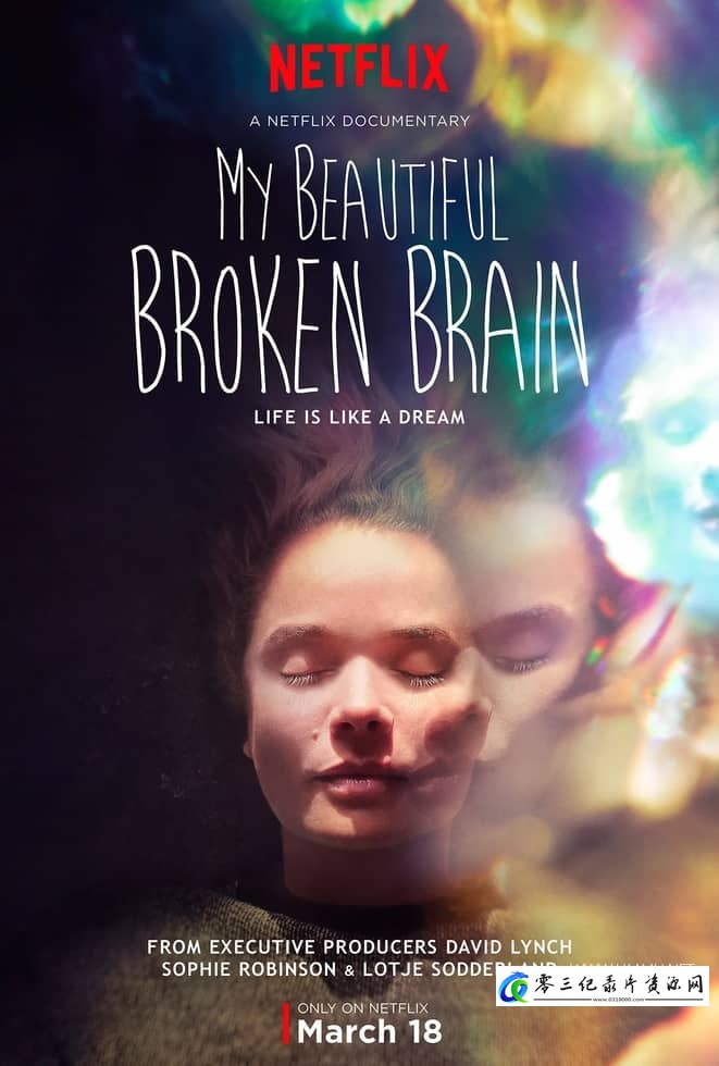 脑残新世界：我美丽易碎的大脑 My Beautiful Broken Brain的海报