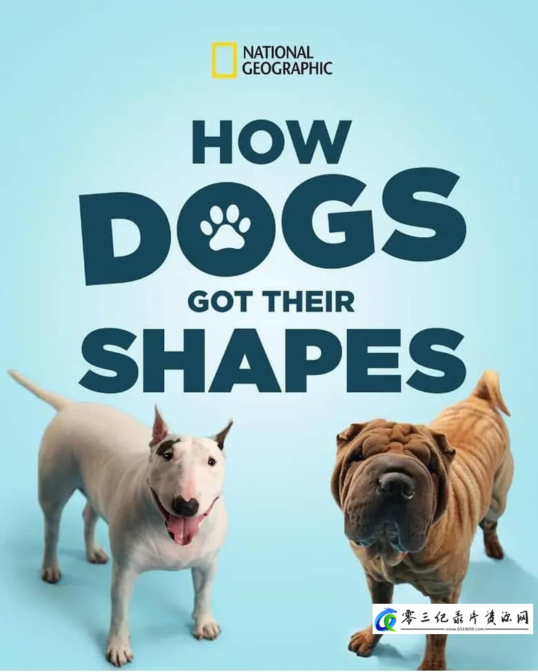 自然纪录片《狗狗体型之谜 How Dogs Got Their Shapes》下载-零三纪录片资源网