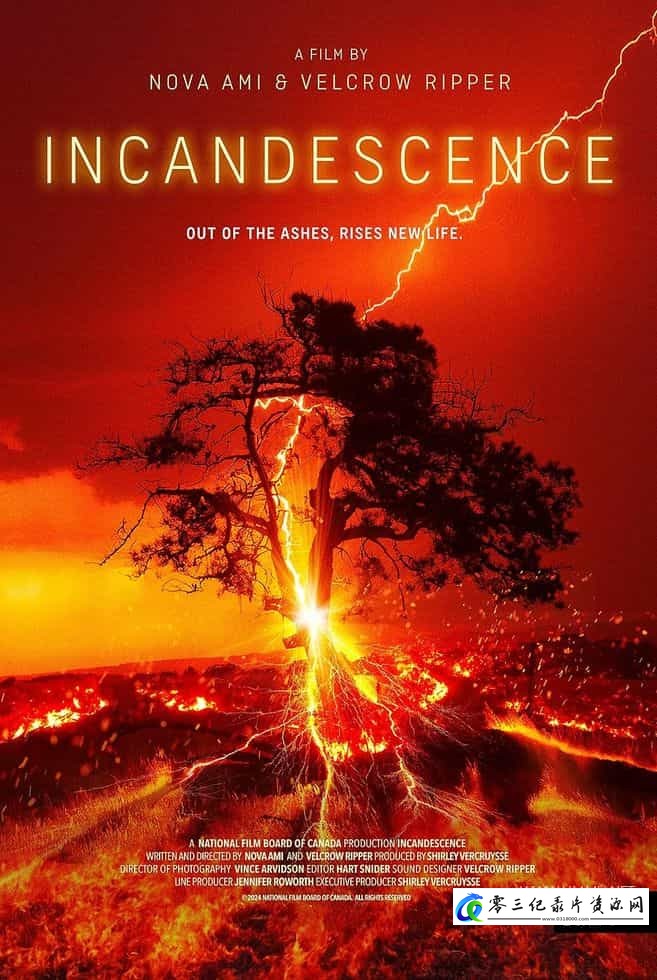自然纪录片《炽热 Incandescence》下载-零三纪录片资源网