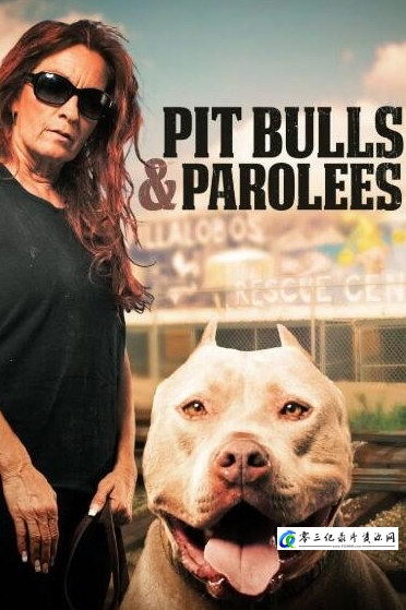 真人秀&舞台纪录片《狗儿救援迎新生 第8季 Pit Bulls and Parolees》下载-零三纪录片资源网
