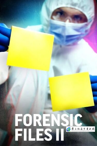探索纪录片《美国法医档案II  第4季  Forensic Files》下载-零三纪录片资源网