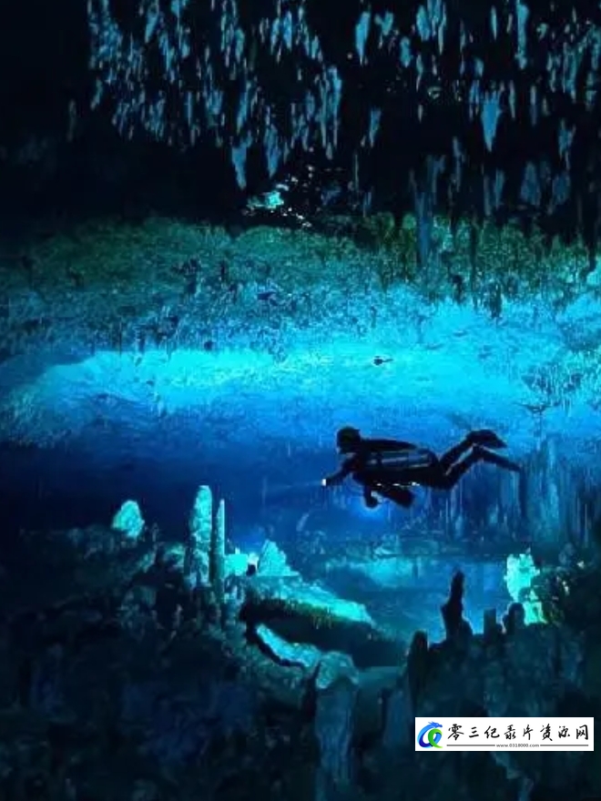 蓝色巴哈马:珊瑚礁 Bahama Blue:Coral的海报