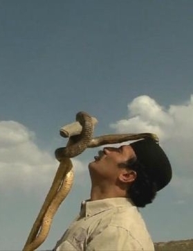 真人秀&舞台纪录片《伊朗蛇王 The Snake Sultan》下载-零三纪录片资源网