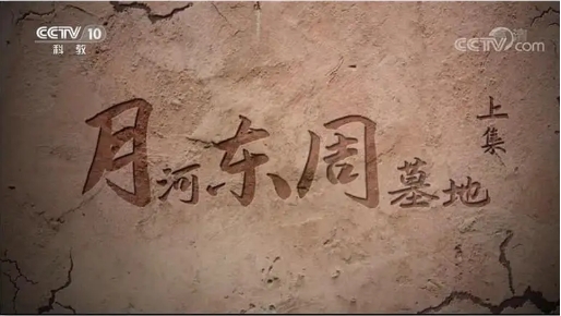 月河东周墓地 2021的海报