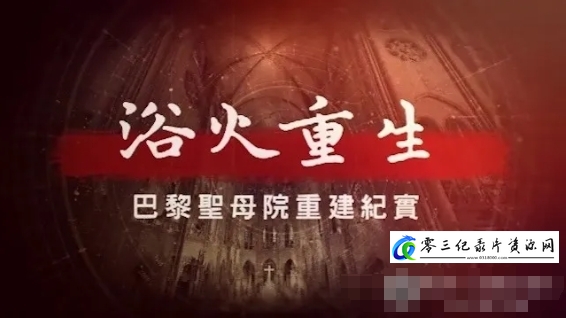 工艺技术纪录片《浴火重生·巴黎圣母院重建纪实：修复拱顶 2024》下载-零三纪录片资源网