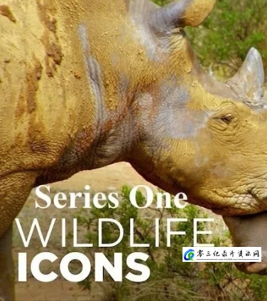 自然纪录片《野性标志 Wildlife Icons 2015》下载-零三纪录片资源网