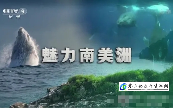 魅力南美洲/野性拉丁美洲 Wild Latin America 2018的海报