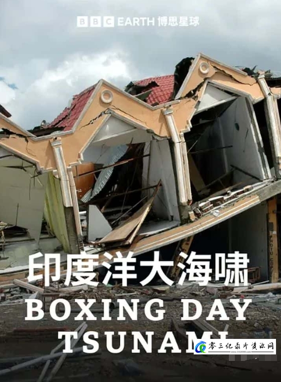 节礼日海啸 Boxing Day Tsunami的海报