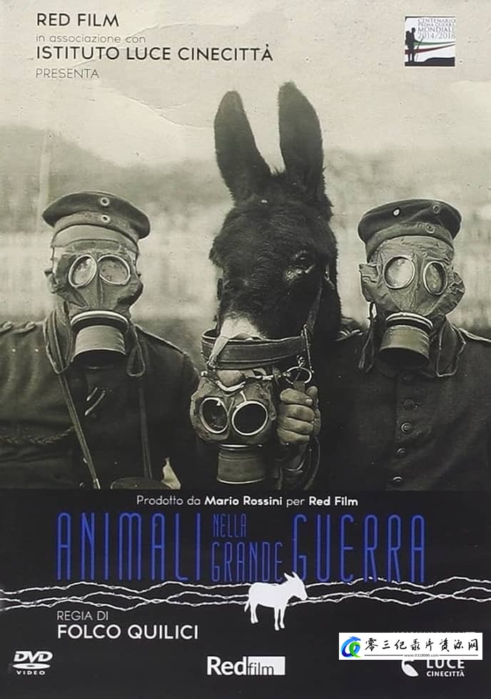 军事纪录片《战争中的动物 Animali nella Grande Guerra》下载-零三纪录片资源网