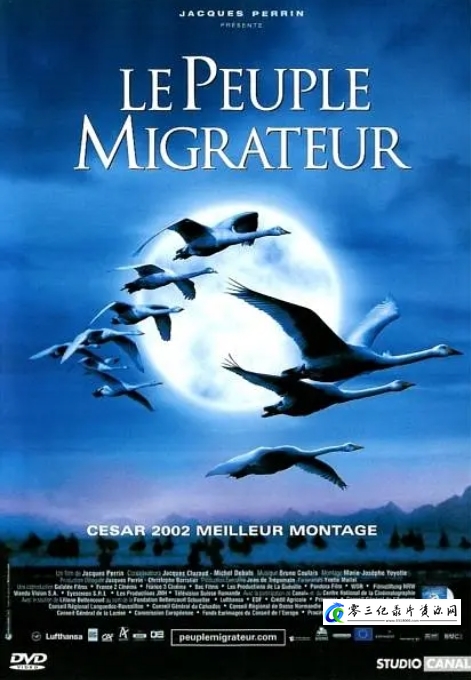 自然纪录片《迁徙的鸟2001》下载-零三纪录片资源网