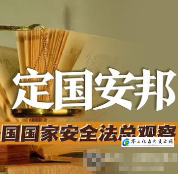 定国安邦：世界各国国家安全法总观察 2020的海报