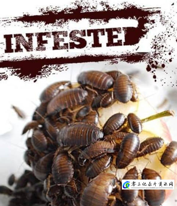 自然纪录片《害虫入侵！Infested!》下载-零三纪录片资源网