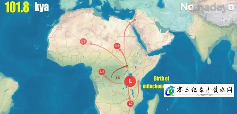 从mtDNA看人类迁徙 mtDNA Shows How Humans Migrated across the World 2021的海报