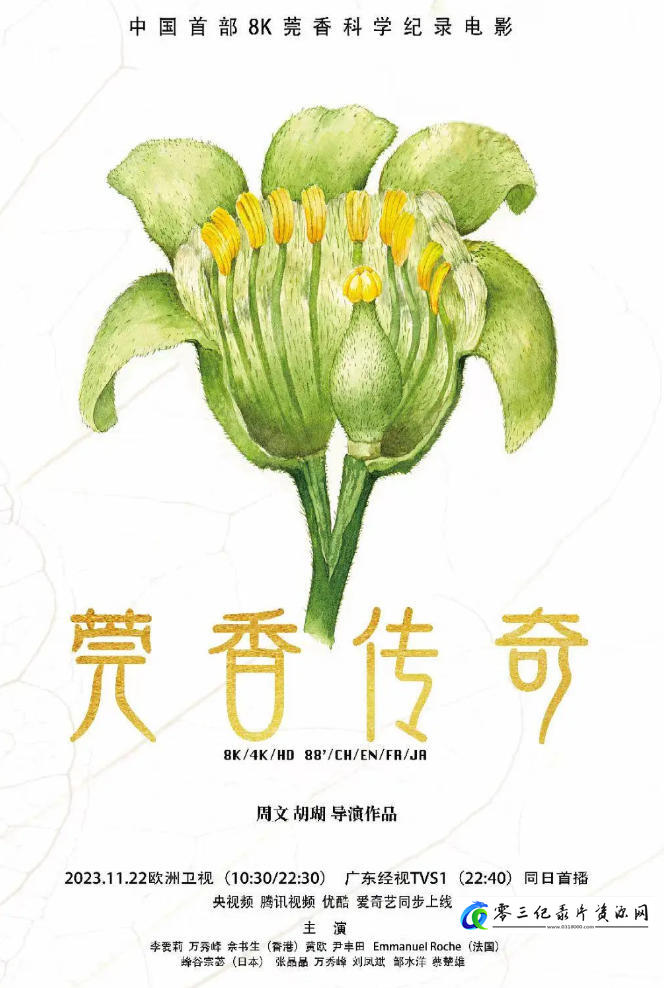 探索纪录片《莞香传奇 2024》下载-零三纪录片资源网