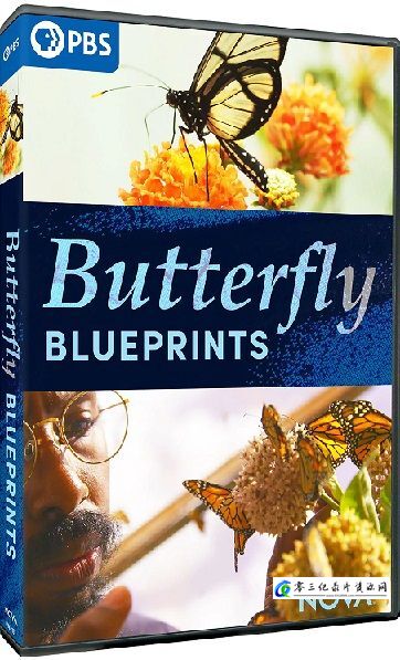 蝴蝶蓝图 NOVA Series 48: Butterfly Blueprints的海报